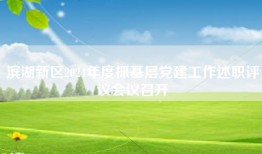 滨湖新区2024年度抓基层党建工作述职评议会议召开