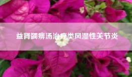 益肾蠲痹汤治疗类风湿性关节炎
