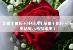 苹果手机接不住电话（苹果手机接不住电话显示未接来电）
