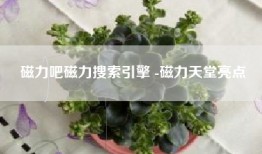 磁力吧磁力搜索引擎 -磁力天堂亮点