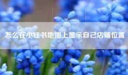 怎么在小红书地图上显示自己店铺位置