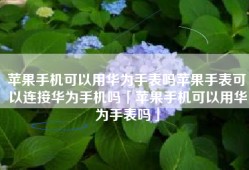 苹果手机可以用华为手表吗苹果手表可以连接华为手机吗「苹果手机可以用华为手表吗」
