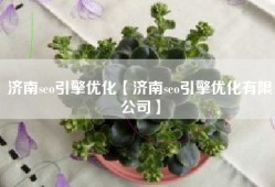 济南seo引擎优化【济南seo引擎优化有限公司】