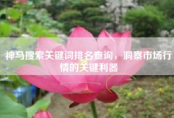 神马搜索关键词排名查询，洞察市场行情的关键利器