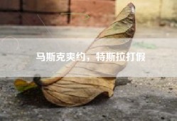 马斯克爽约，特斯拉打假
