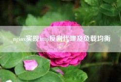 nginx实现http反向代理及负载均衡