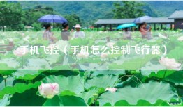 手机飞控（手机怎么控制飞行器）