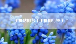 手机站排名（手机排行棒）