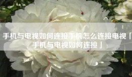手机与电视如何连接手机怎么连接电视「手机与电视如何连接」