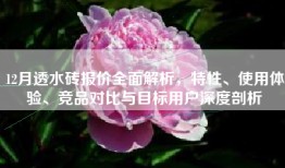 12月透水砖报价全面解析，特性、使用体验、竞品对比与目标用户深度剖析