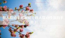 双人互动手机游戏（双人互动性强的手游）
