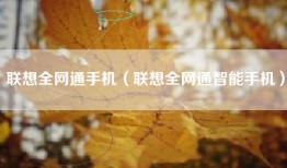 联想全网通手机（联想全网通智能手机）