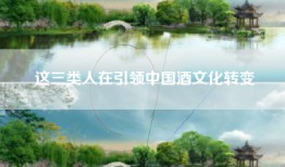 这三类人在引领中国酒文化转变