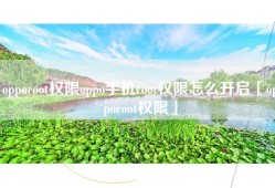opporoot权限oppo手机root权限怎么开启「opporoot权限」