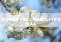 跨境电商视觉营销：亚马逊平台视觉营销实务
