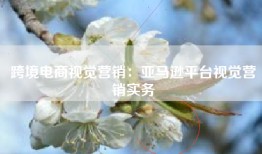 跨境电商视觉营销：亚马逊平台视觉营销实务
