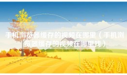 手机浏览器缓存的视频在哪里（手机浏览器缓存的视频在哪里找）