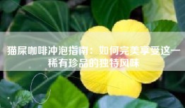 猫屎咖啡冲泡指南：如何完美享受这一稀有珍品的独特风味