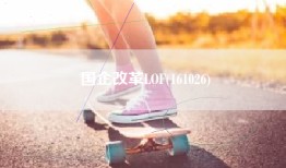 国企改革LOF(161026)