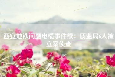 西安地铁问题电缆事件续：质监局6人被立案侦查