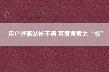 用户逃离站长不满 百度搜索之“惑”