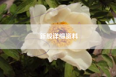 新股详细资料