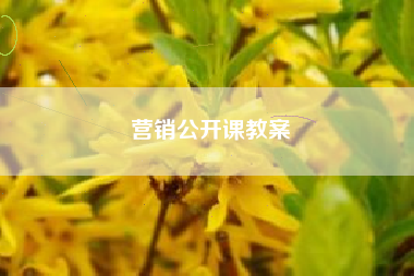 营销公开课教案