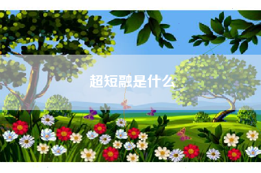 超短融是什么
