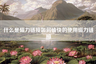 什么是磁力链接如何愉快的使用磁力链接