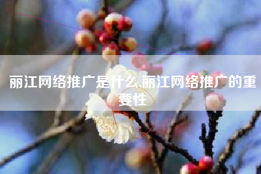 丽江网络推广是什么,丽江网络推广的重要性