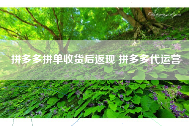 拼多多拼单收货后返现 拼多多代运营