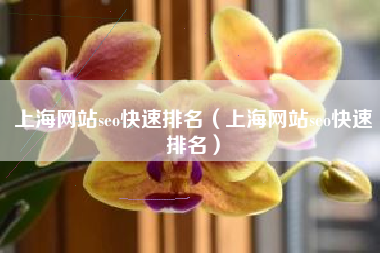 上海网站seo快速排名（上海网站seo快速排名）