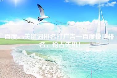 百度seo关键词排名打广告—百度快速排名，抢占先机！