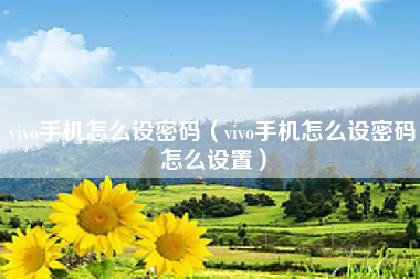 vivo手机怎么设密码（vivo手机怎么设密码怎么设置）