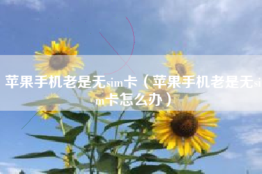 苹果手机老是无sim卡（苹果手机老是无sim卡怎么办）