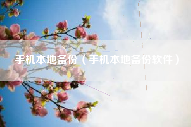 手机本地备份（手机本地备份软件）