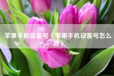 苹果手机设备号（苹果手机设备号怎么查）