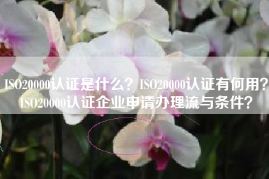 ISO20000认证是什么？ISO20000认证有何用？ISO20000认证企业申请办理流与条件？