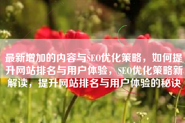 最新增加的内容与SEO优化策略，如何提升网站排名与用户体验，SEO优化策略新解读，提升网站排名与用户体验的秘诀
