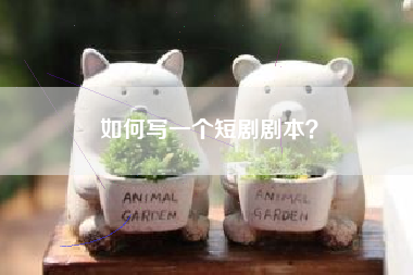 如何写一个短剧剧本？